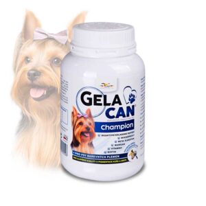 Gelacan Champion barevný 150g
