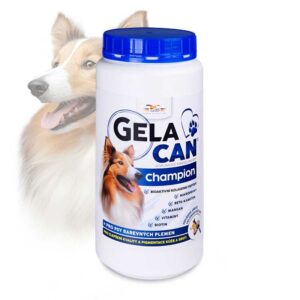 Gelacan Champion barevný 500g