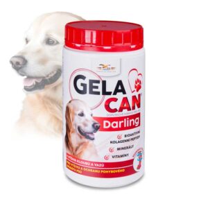 Gelacan Darling 500g